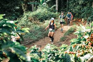 BIB: 
                            <button type="button" onclick="openModal(25852397)" class="btn btn-primary btn-sm float-right btn-popup" data-toggle="modal" data-target=".modal-high-quality">
                        <i class="fas fa-shopping-cart"></i> Add to Cart
                    </button>
                                            <button type="button" onclick="isThisMe(25852397, true)" class="btn btn-success btn-sm float-right btn-popup btn-isme hidden" data-toggle="tooltip" data-placement="bottom" title="นี่คือรูปของคุณใช่ไหม คลิกที่นี่เพื่อเอาเข้าอัลบั้ม">
                        <i class="fas fa-plus"></i> Add to album
                    </button>
                    <button type="button" onclick="isThisMe(25852397, false)" class="btn btn-warning btn-sm float-right btn-popup btn-isnotme hidden">
                        <i class="fas fa-ban"></i> Remove from album
                    </button>